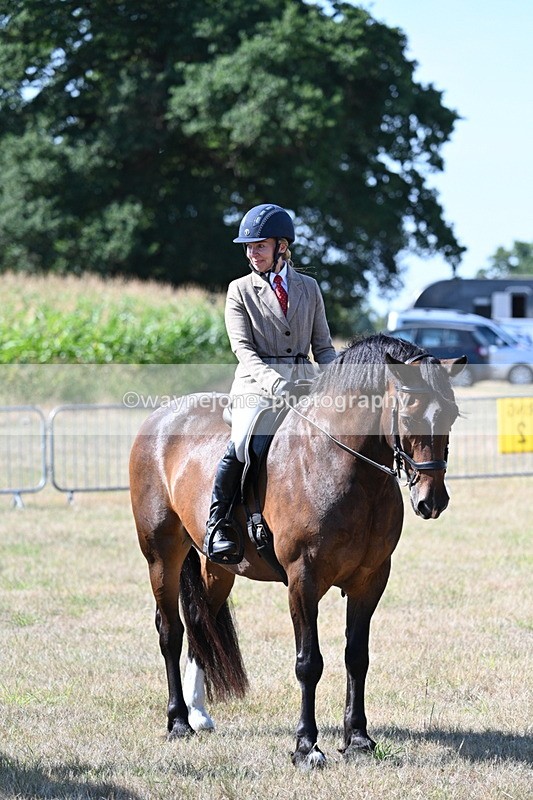 WJ7_3592 - Class 9 Mountain & Moorland Ridden