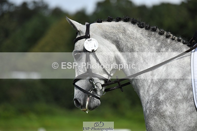 230826-105019-15621 - Sections C & D 10 to End