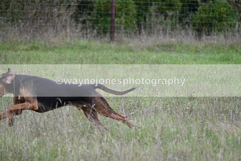 WJ7_3525 - Camera 1 Line 1