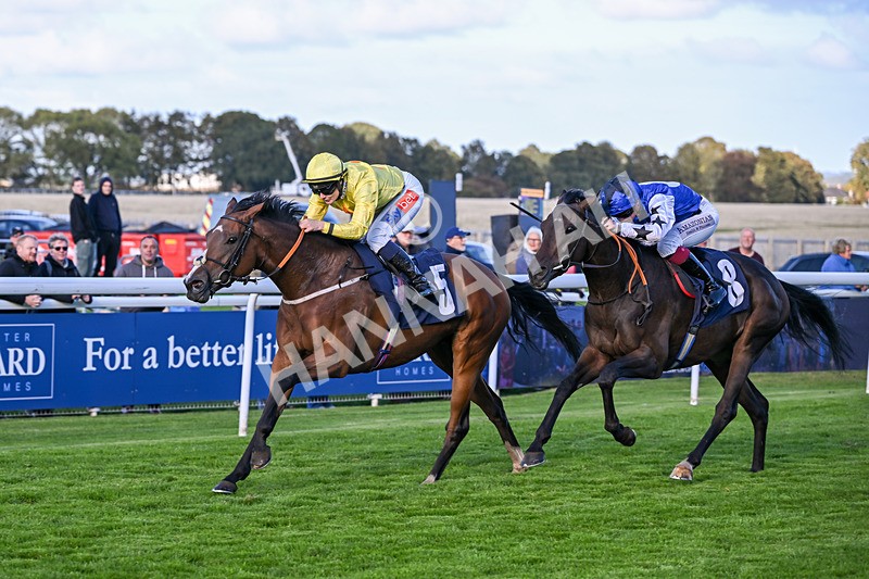 230925-Race 6-Kiss Me My Love-1993 - Race 6