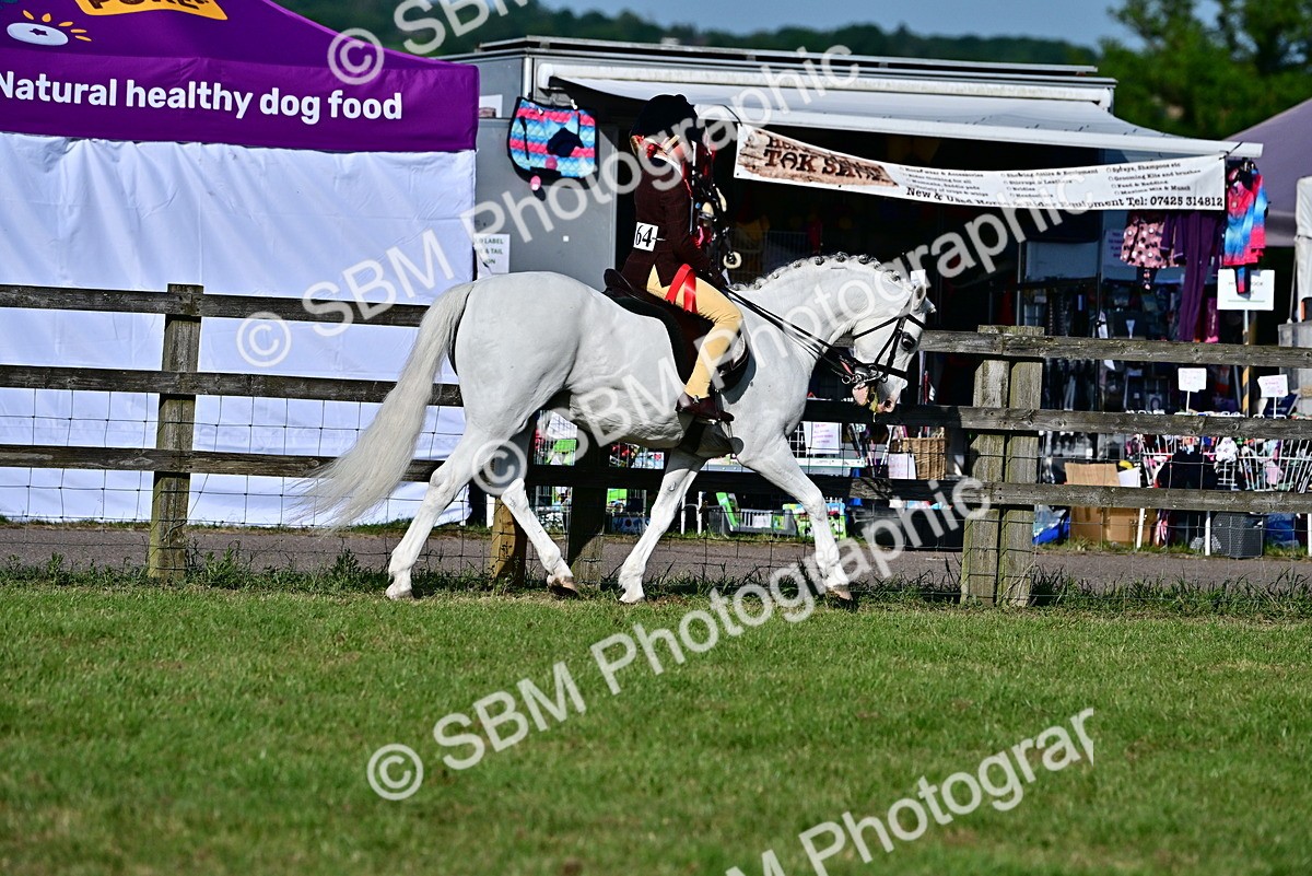 SBM_19910 - Class 103 - 105 - TSR Ridden Amateur of the Year Plaited Ponies