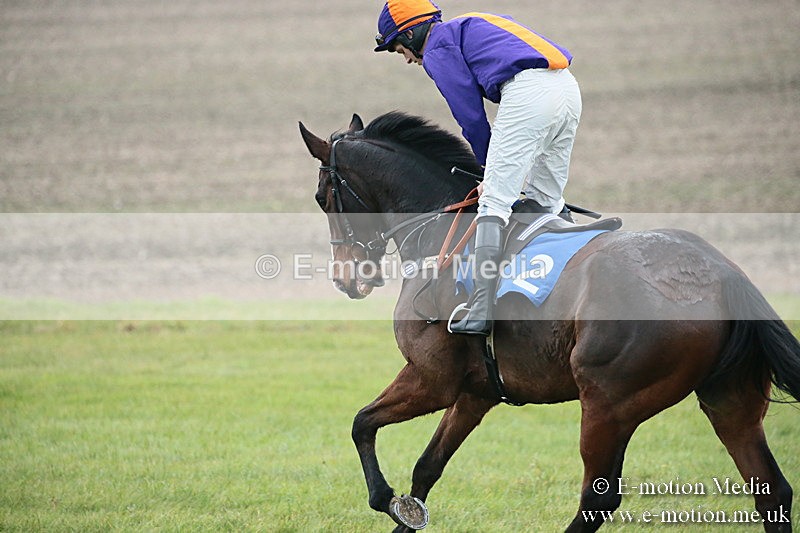 PtP 251118-200 - Vine & Craven Point-to Point Barbury Racecourse 25/11/18