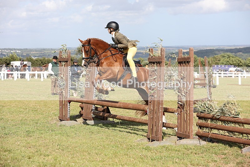 JPP_2752 - Class 20: Working Hunter 70cm