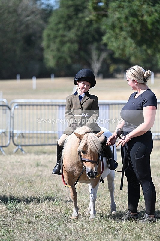 WJ7_1293 - Class 41 Prettiest Mare