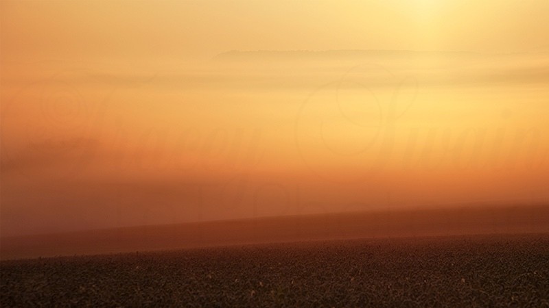 080915 Foggy Field_9638 - Air Element
