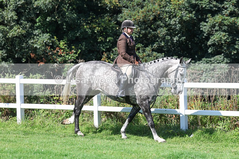 3E7A8368 - Class 4: Novice working Hunter