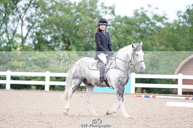 240809A-102034-00499 - Dressage Competition