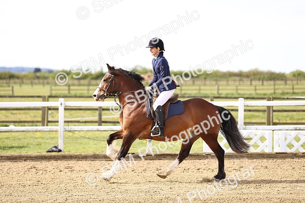 SBM_000026 - 50cm