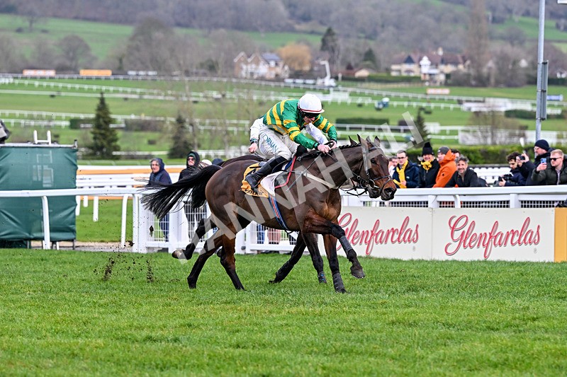 240126-Race 5-Spillanes Tower-7154 - Race 5