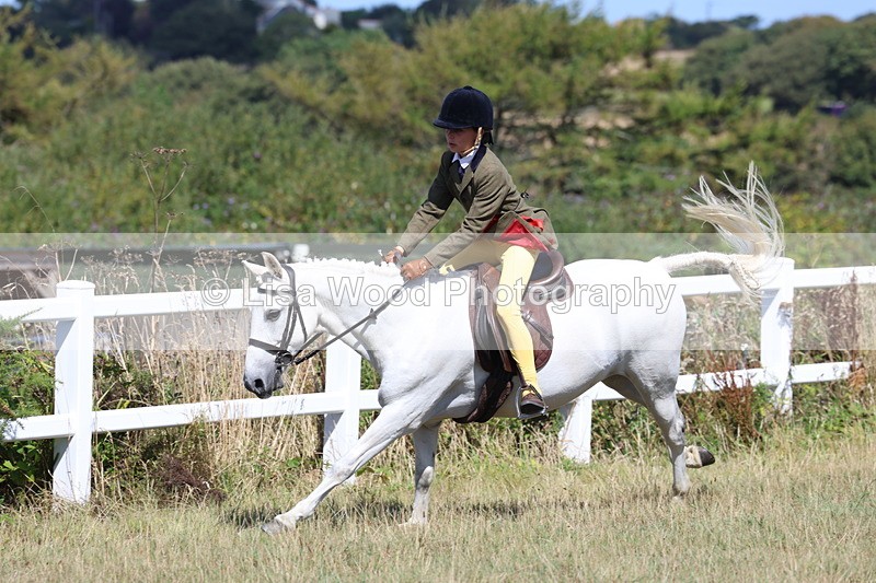 3E7A6399 - Working Hunter Championship