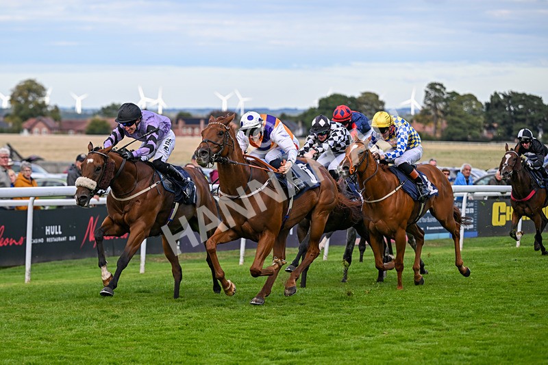 160926-Race 5-Call To Action-1019 - Race 5 4.18pm We Are Christmas Party Central Handicap