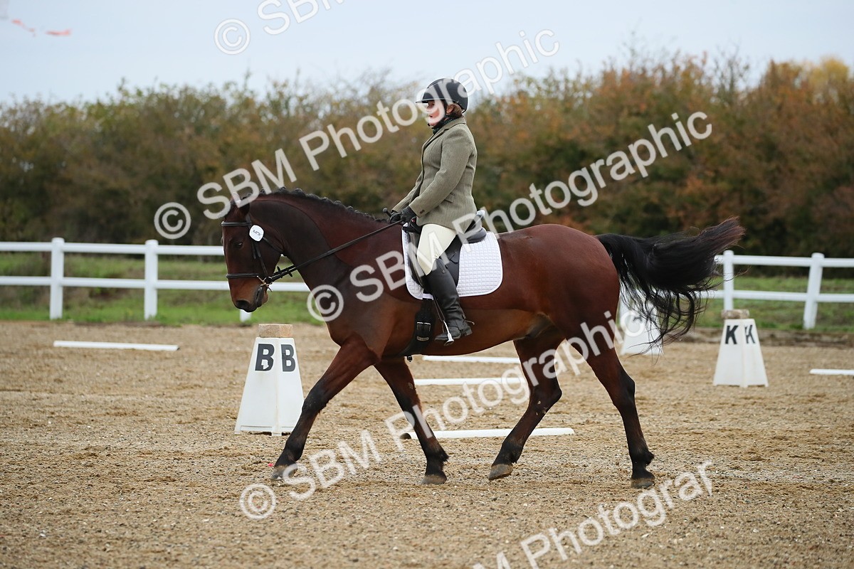 SBM_000395 - Intro 2
