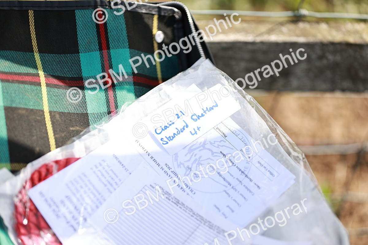 SBM_01802 - Class 14-23 - Mountain & Moorland In Hand Non Welsh