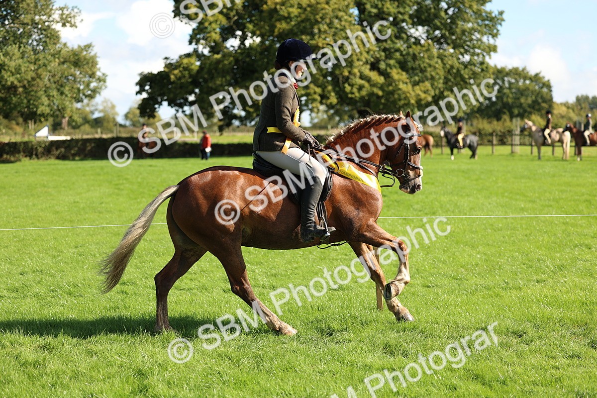 SBM_45472 - S33 - Working Hunter Pony