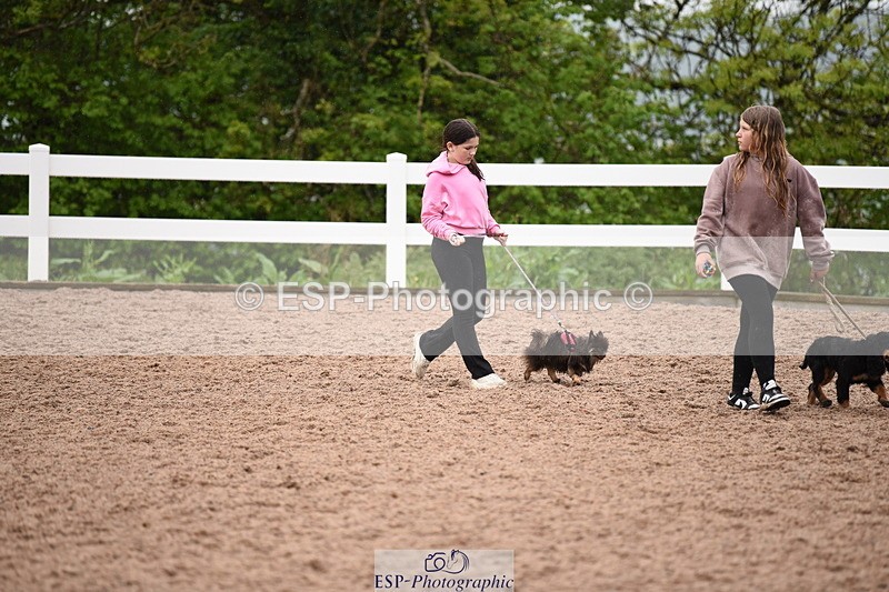 240518A-133732-01327 - Cls 9 Best in Show