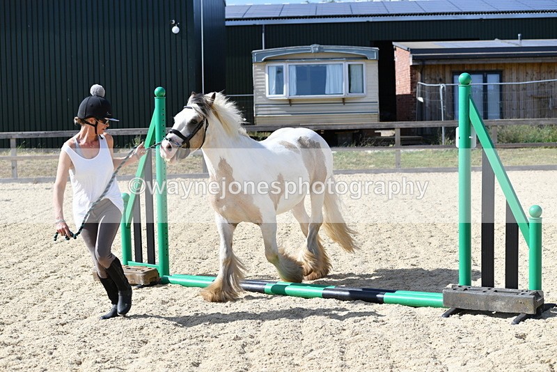 WJ5_5455 - Poles on the Floor