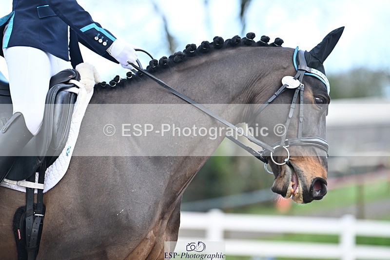 240218A-105502-05739 - 232-Alys.Matravers-VORVASHILL.VERTIGO