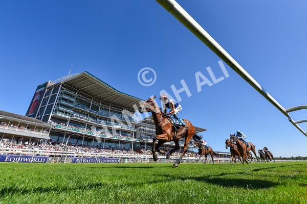 110725-Race 4-Dain Ma Nut In-6771 - Race 4 3.55pm Azets Handicap