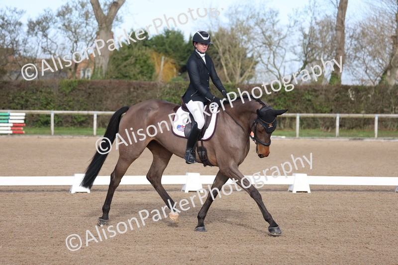 20260128-0384 - Class 4 - Novice 5