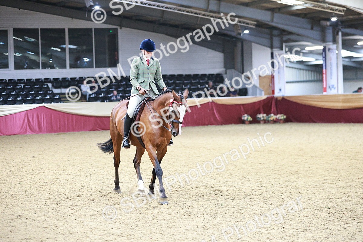 SBM_03525 - Class 6A Area Ridden Pre-Vet
