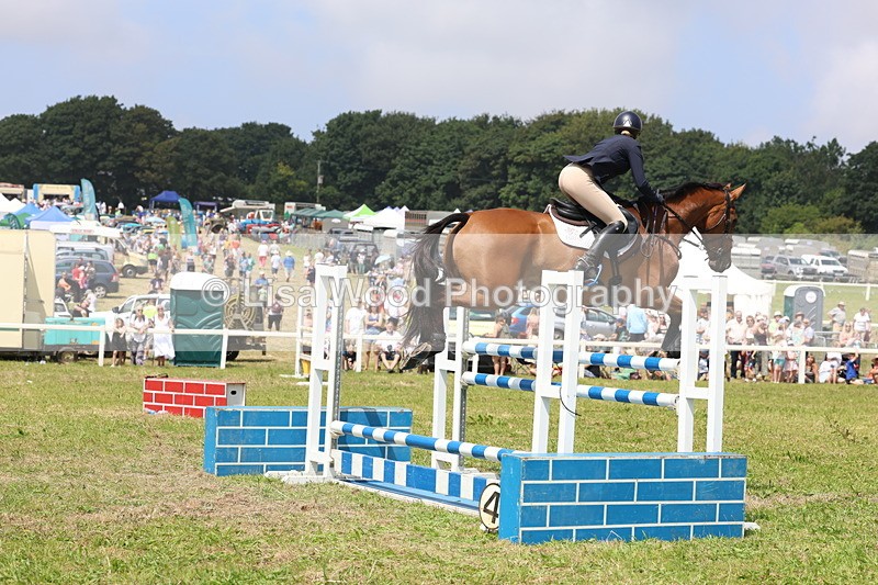 3E7A3421 - Class 10: Senior Foxhunter/1.20 open
