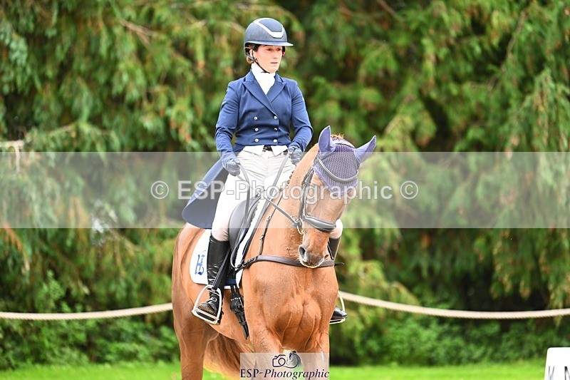 231020-153050-11846 - 213-MGH.HILDARE.HARLEQUIN-Danielle.Mccormack-DR