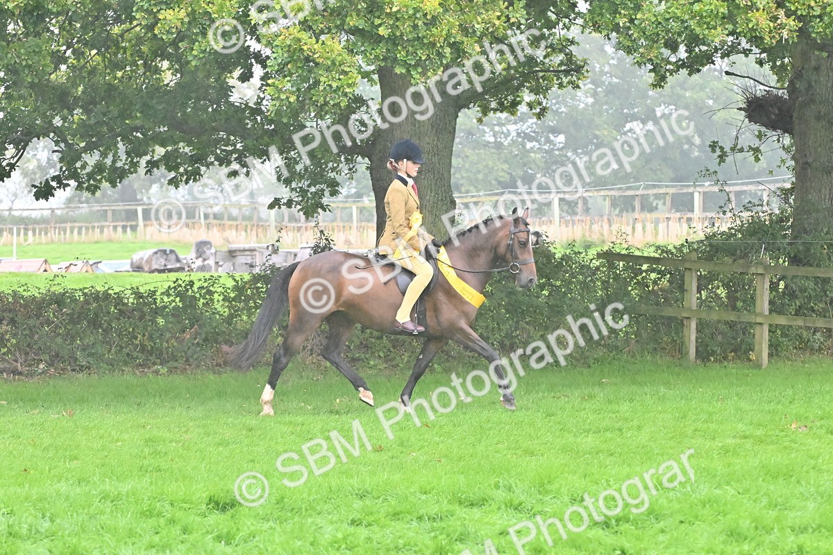 SBM_72634 - S43 - Ridden Equitation Best Rider