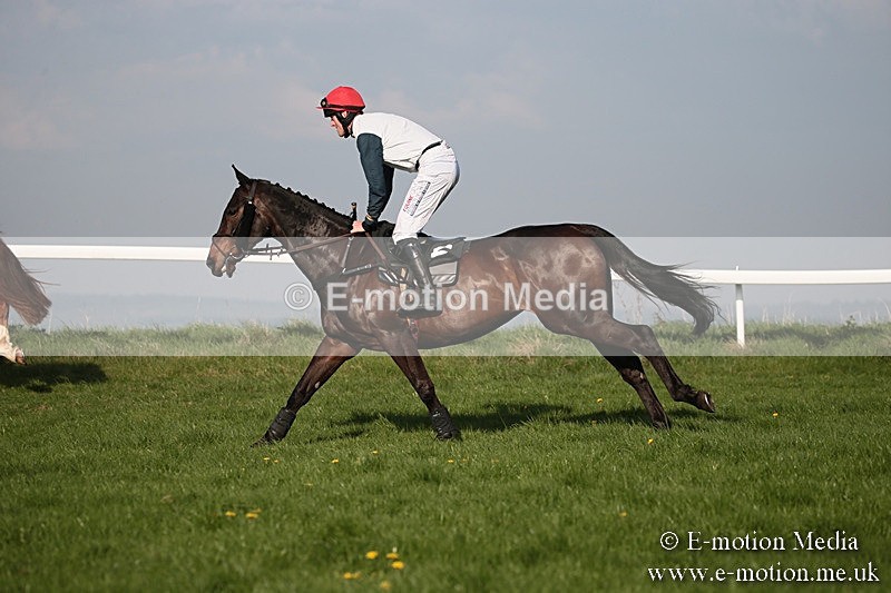 PtP 210418 573 - South & West Wilts Point-to-Point Larkhill 21/04/18