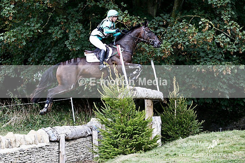 _LES8708a - Equestrian