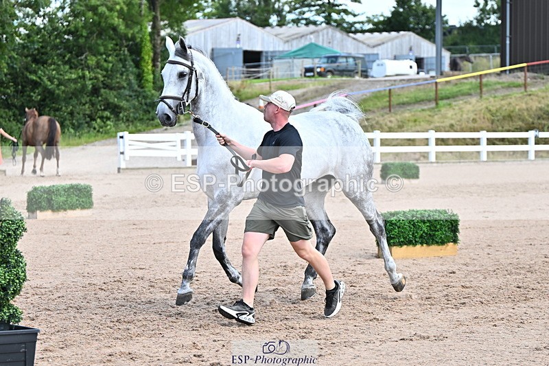 240718A-105254-01298 - Trot Up 12pm to 1pm