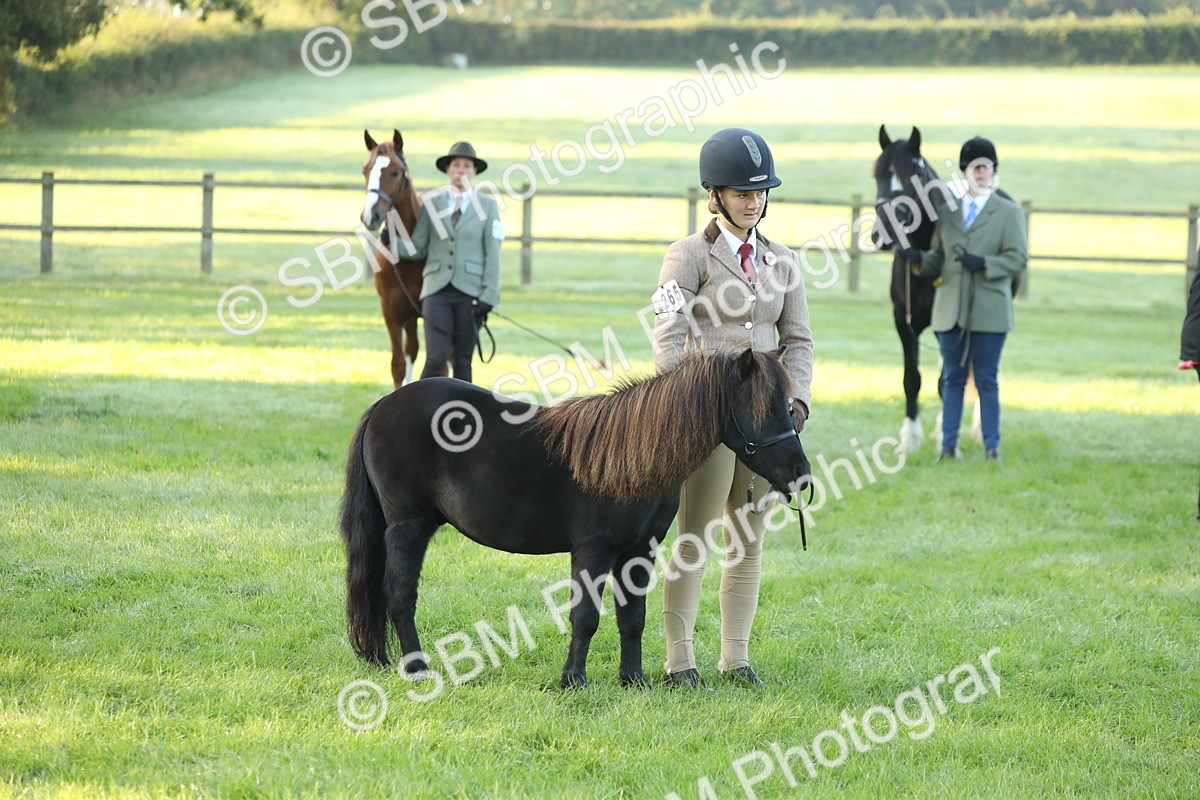 SBM_57844 - S42 - Youngstock