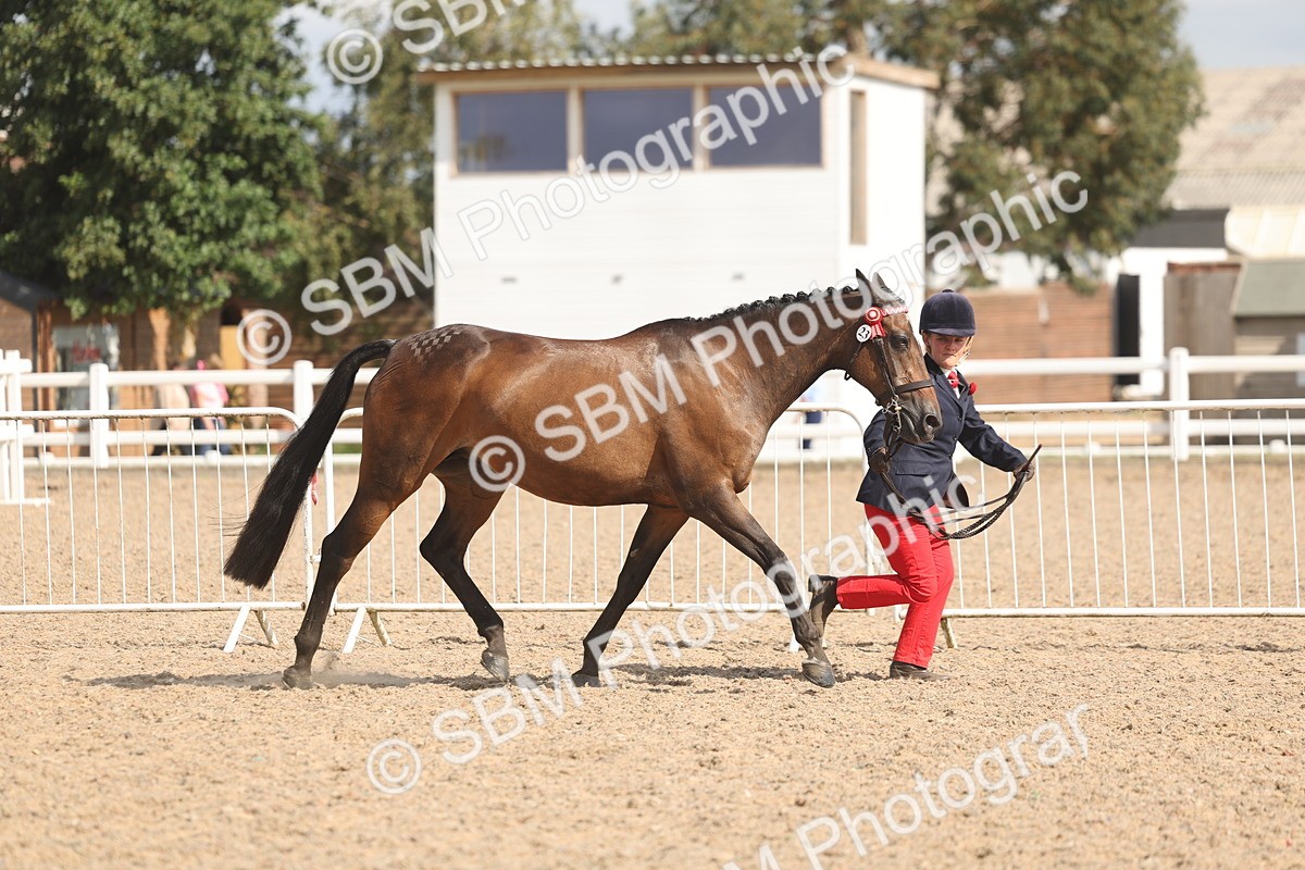 SBM_06849 - Class 25 - IH Foreign Breeds - Purebred