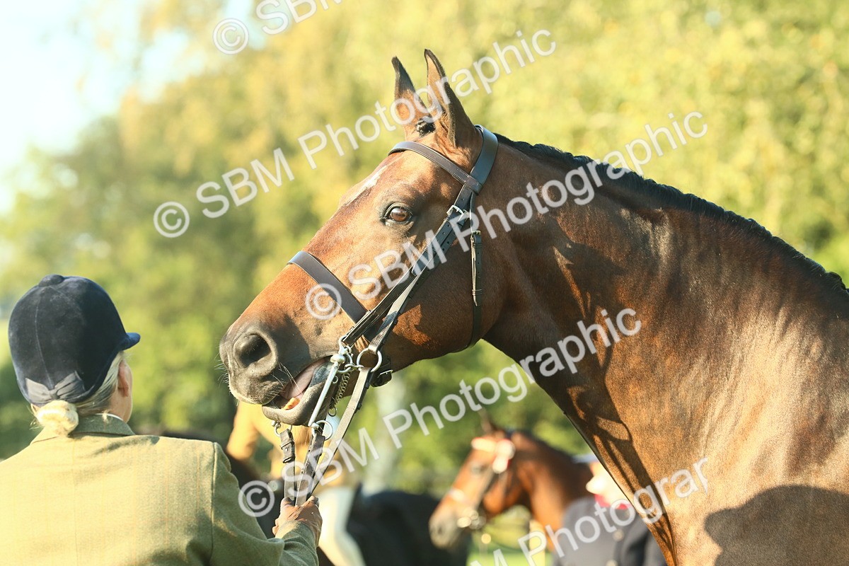 SBM_56690 - S36 - Starters Best Turnout