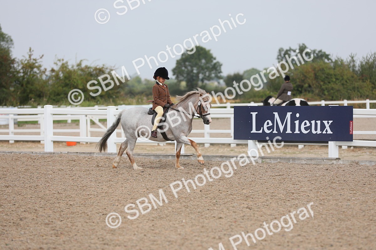 SBM_12687 - Class 307 Ridden Coloured Pony