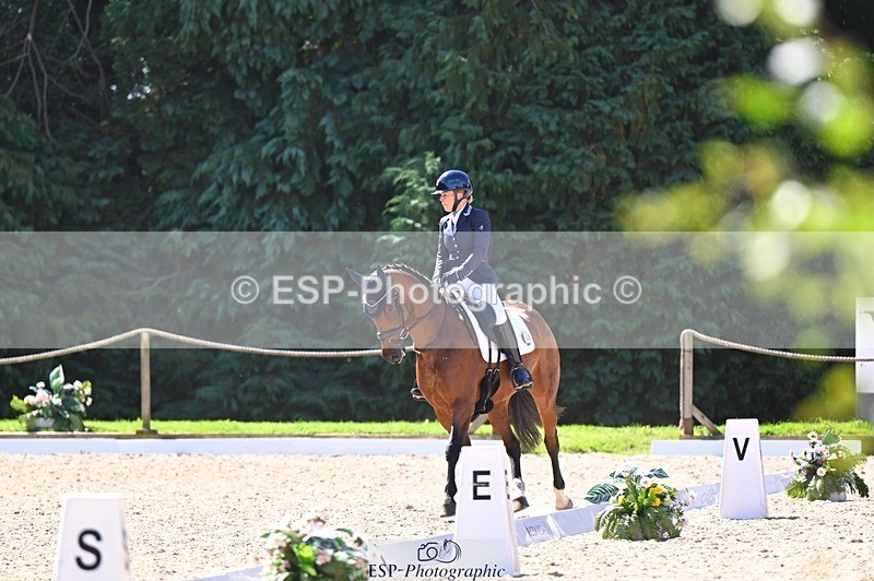 240809-111243-00520 - 133-Dawn.Bear-First.Taylor.Made