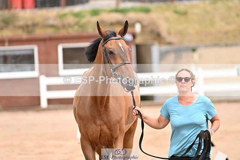 250716-150840-01680 - Trot Up 2.30 to 3.30