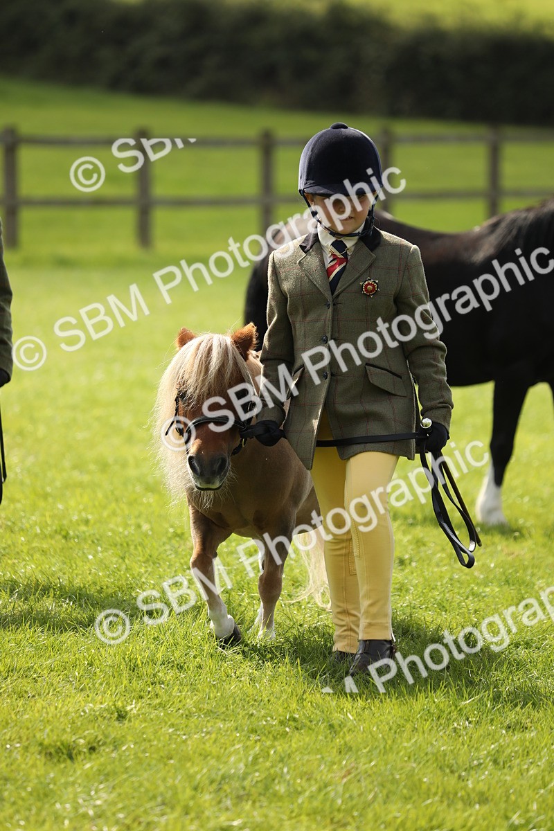 SBM_67837 - S39 - Junior Handler 8  Years & Under
