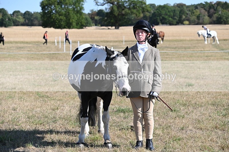 WJ6_7304 - Class 33 Rescue Pony
