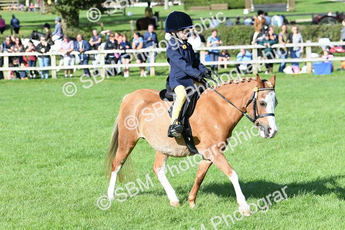 SBM_50351 - S21 - Novice & Newcomers 1st Ridden Pony