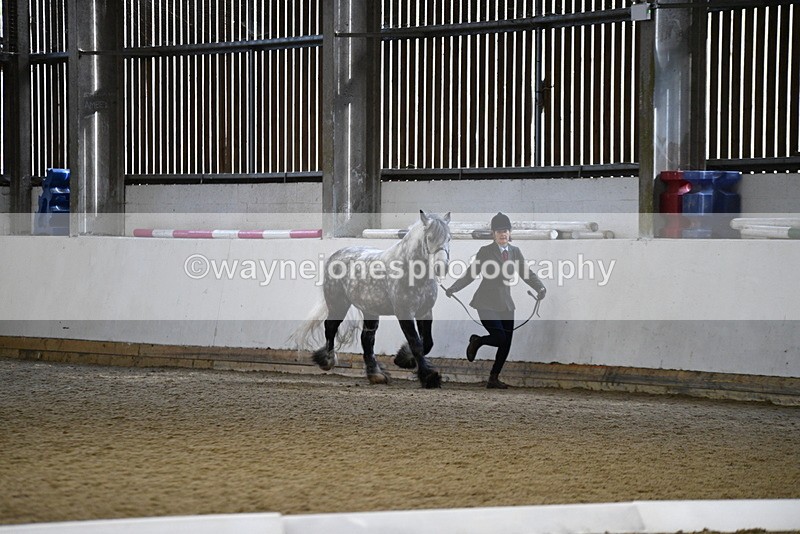 WJ5_5203 - Class 8 In hand cob