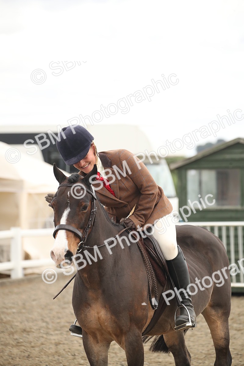 SBM_17927 - Class 508b - Working Veteran 70cm (20+)