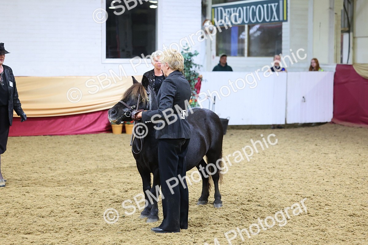 SBM_19712 - Class 901 - Supreme Final - IH Diamond