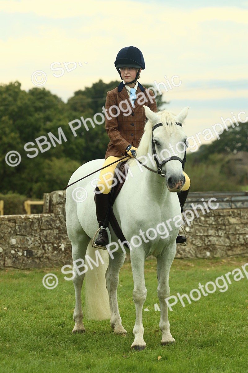 SBM_72241 - S60 - Mountain & Moorland Ridden Large Breeds