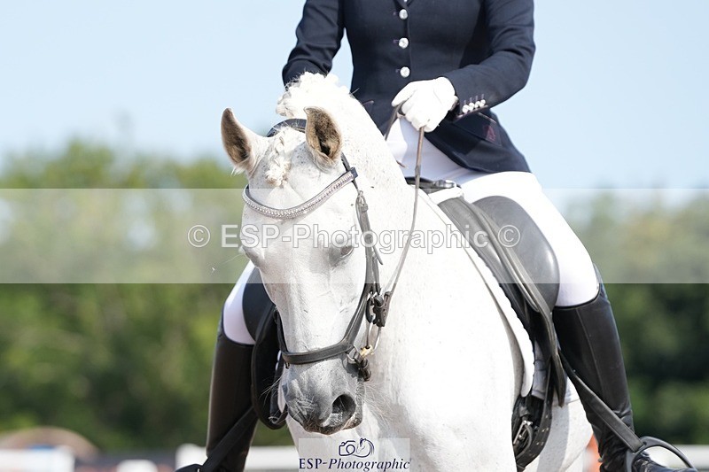 250815-103802-00471 - 006-Scarlett.JohnCapote.GB