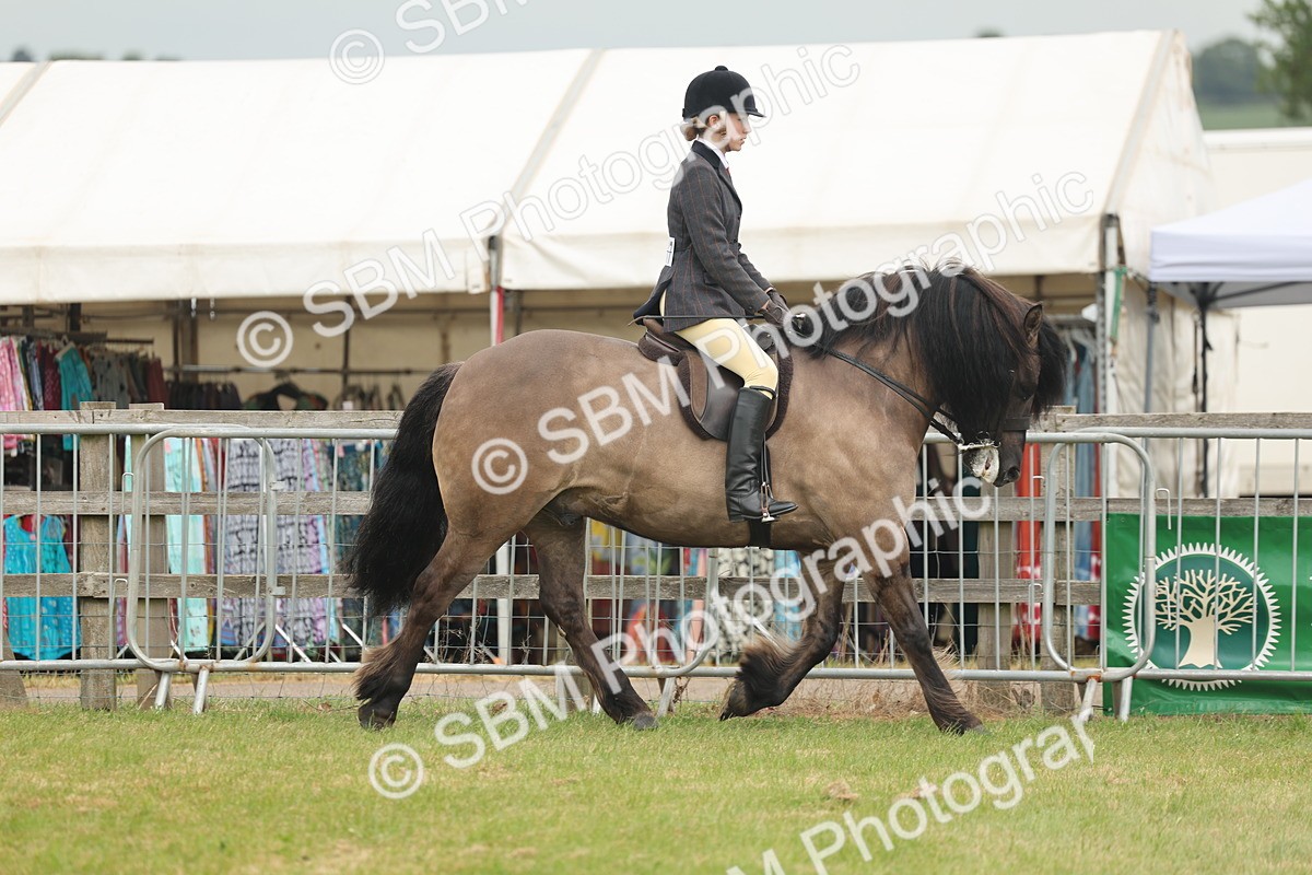 SBM_08921 - Class 78-80 - Ridden M&M Non Welsh Ponies