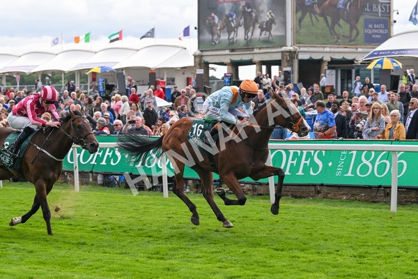 210825-Race 2-Song Of The Clyde-3987 - Race 2 2.25pm Harry's Half Million By Goffs