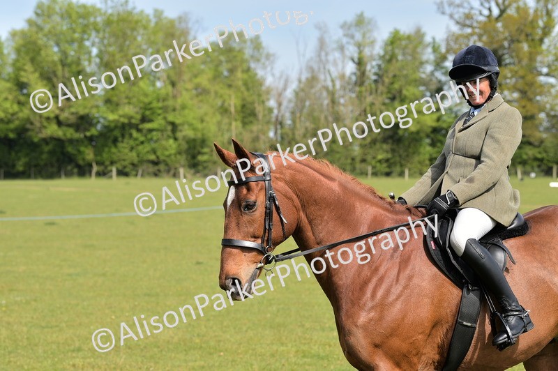 20260426-1162 - Class 19 - Retraining Of Racehorses
