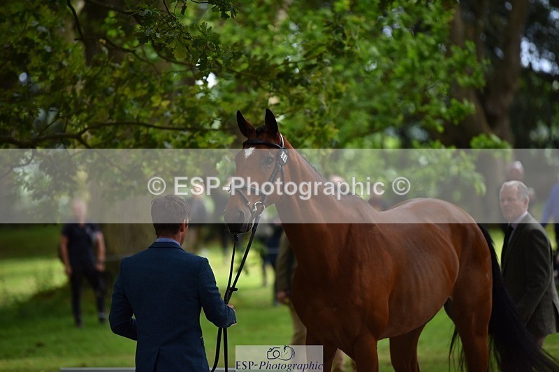 240522-150430-00074 - 364-LACHAIN_JACK-Tom_D_Crisp