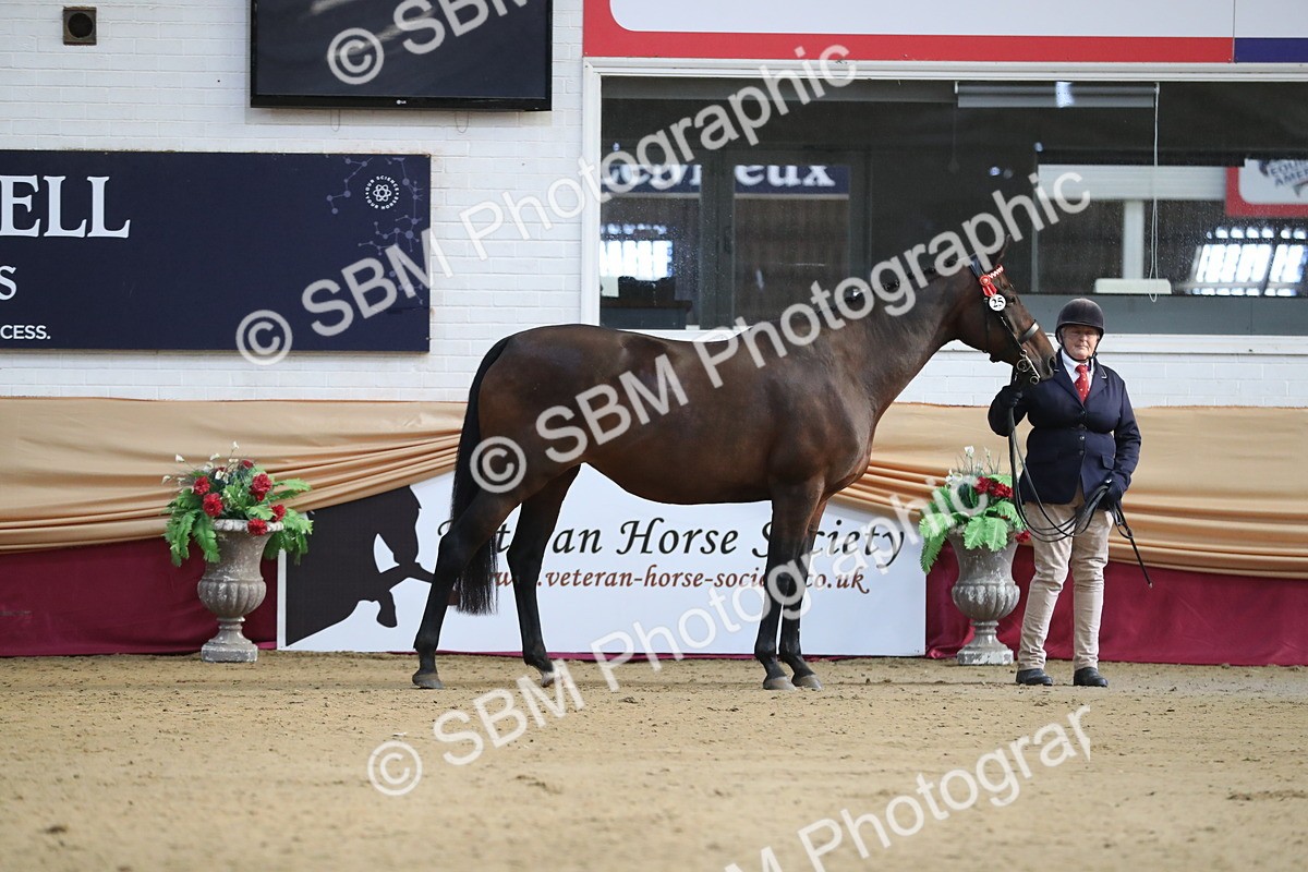 SBM_00204 - Class 1a - Area IH Diamond