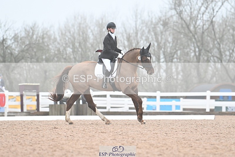 240217A-095254-00475 - 123-Daisy.Hedges-Felicia.v